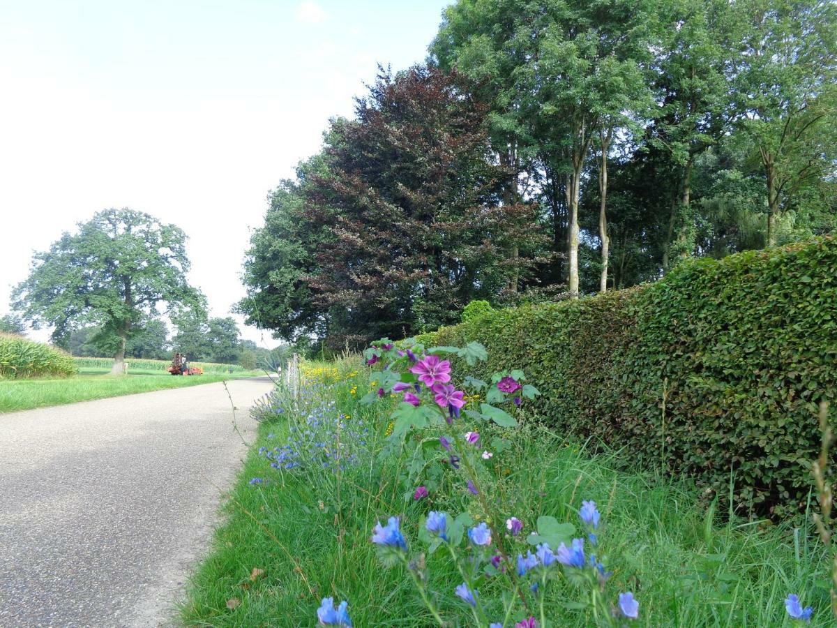 Thil'S Bed And Breakfast Ambt Delden Exterior foto