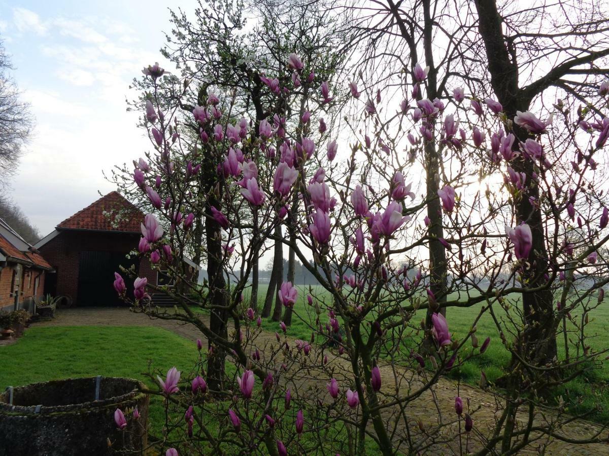 Thil'S Bed And Breakfast Ambt Delden Exterior foto