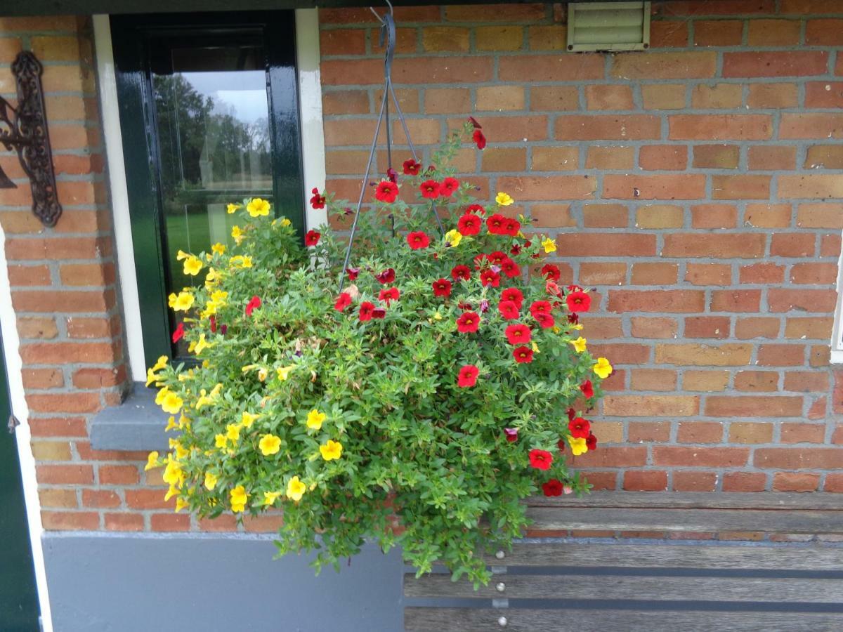 Thil'S Bed And Breakfast Ambt Delden Exterior foto